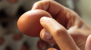 značení vajec